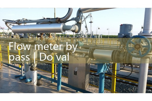 Flow meter bypass